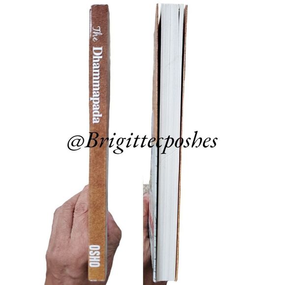 OSHO The Dhammapada - The Way of Buddha - Paperback - Picture 3 of 7